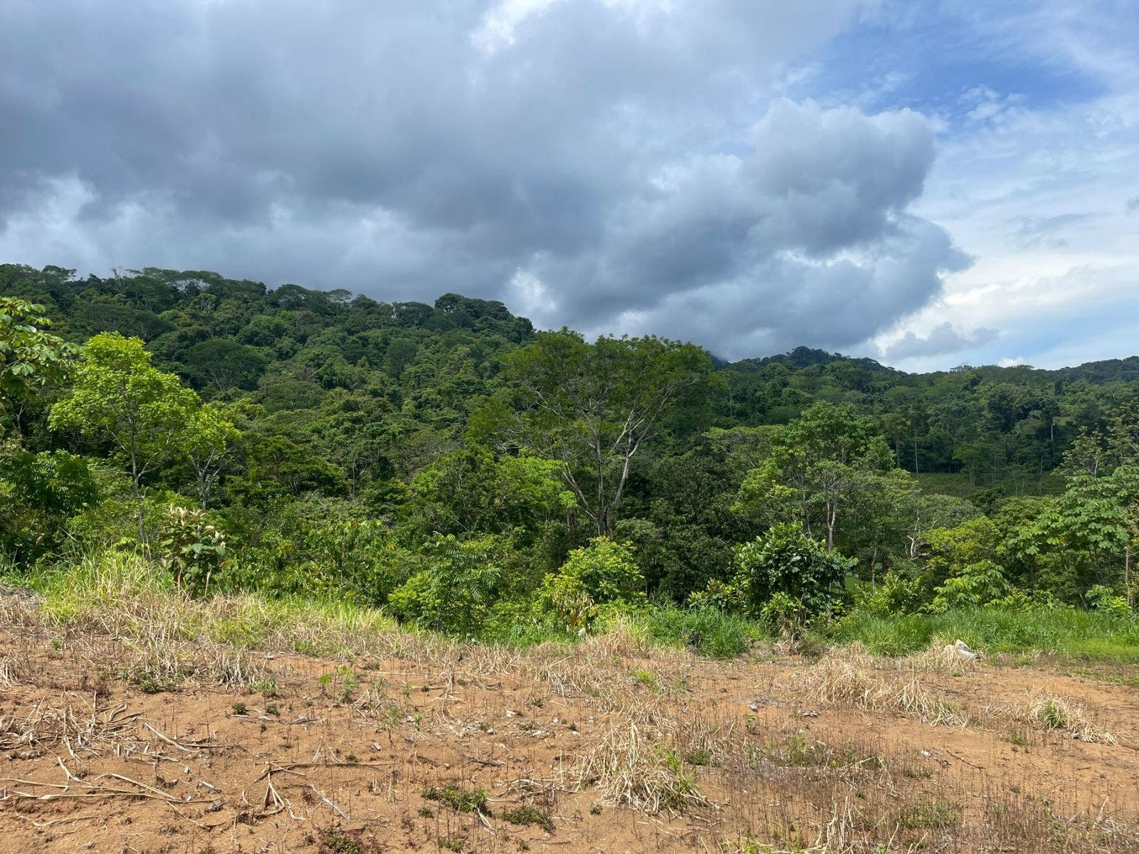 Development Land in Uvita with Stunning Ocean View — photo 11 of 14