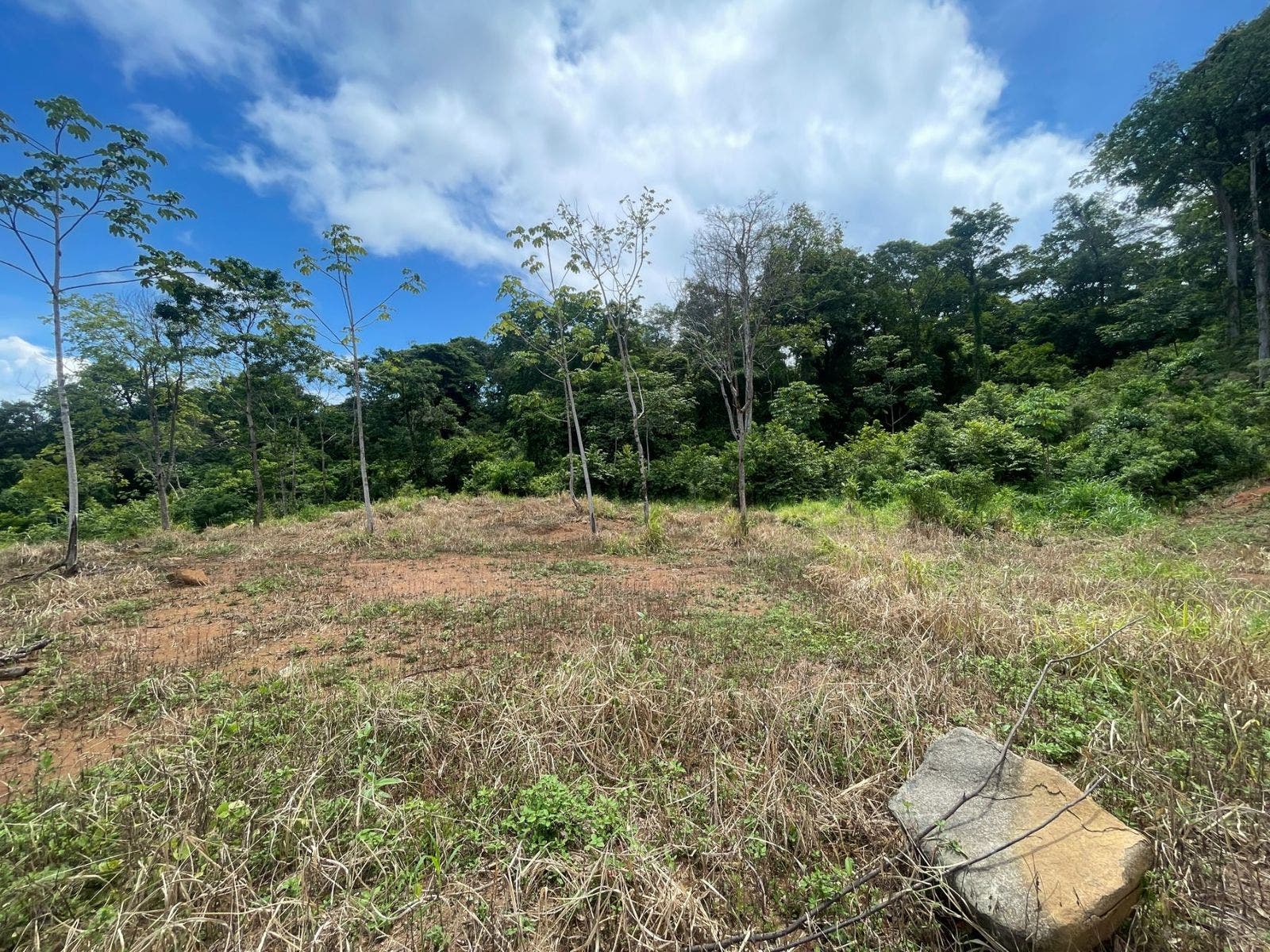 Development Land in Uvita with Stunning Ocean View — photo 12 of 14
