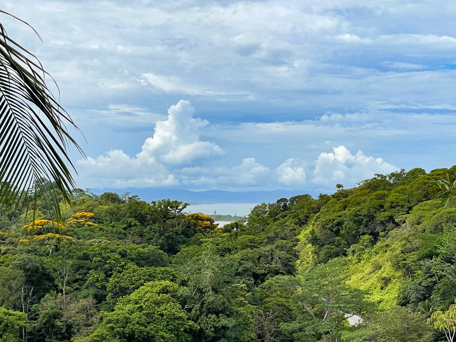 Ocean View Home in central Ojochal — photo 6 of 19