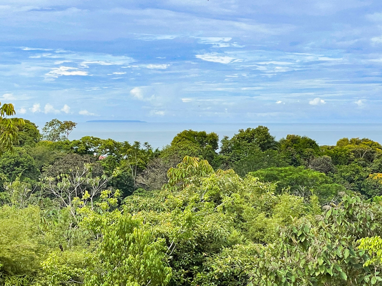 Ocean View Home in central Ojochal — photo 8 of 19