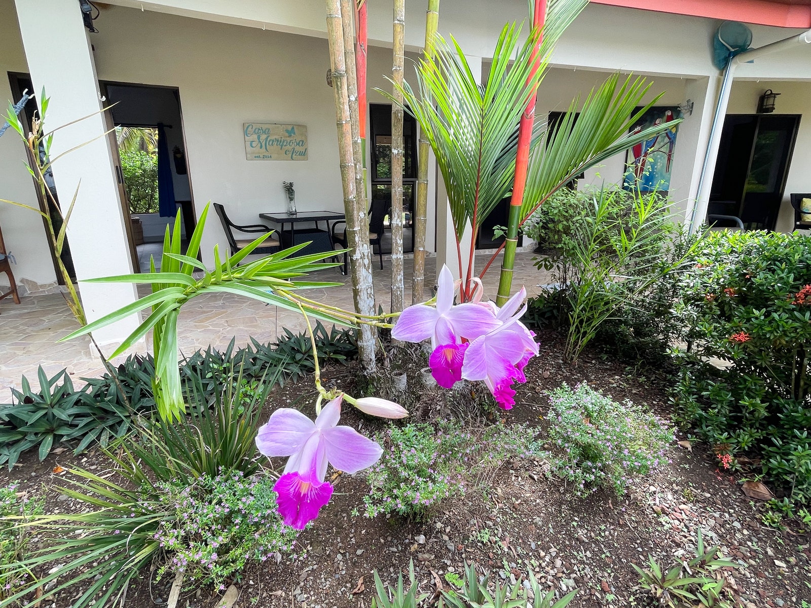 Ocean View Home in central Ojochal — photo 10 of 19