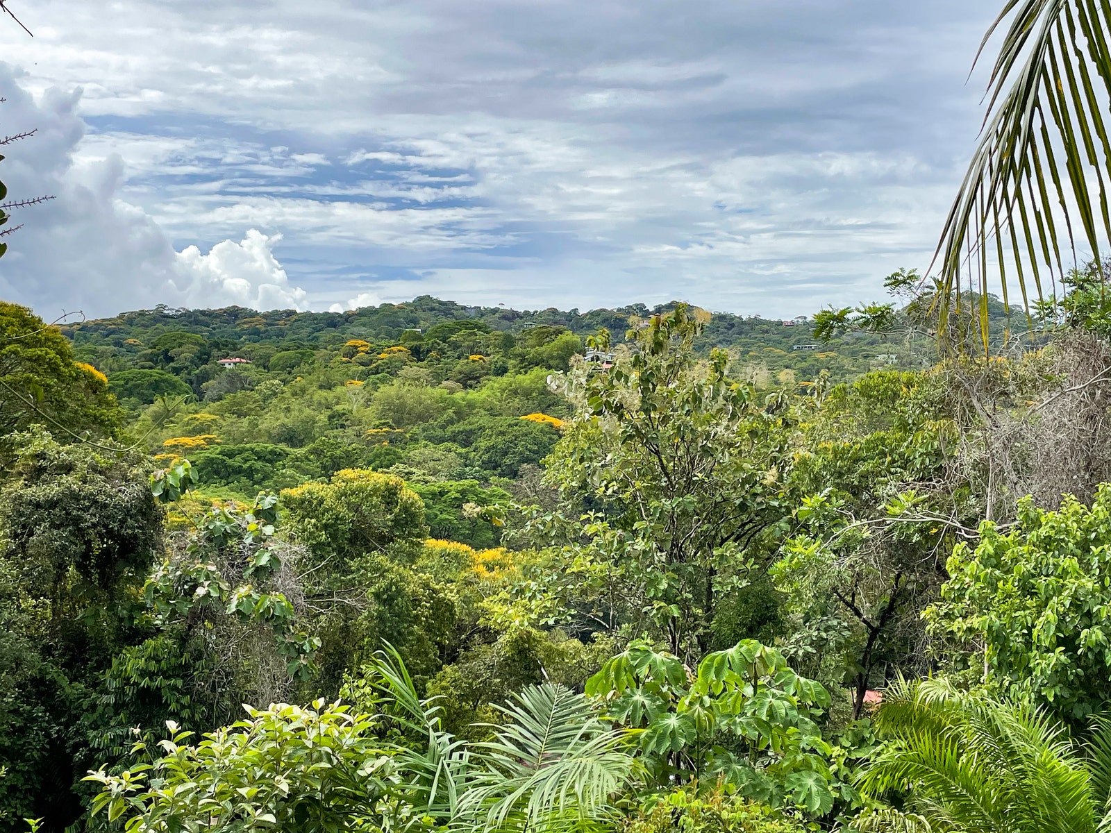 Ocean View Home in central Ojochal — photo 11 of 19
