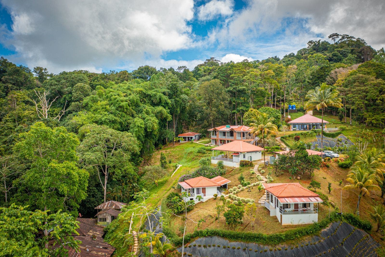 Newly Renovated Hotel Opportunity with Ocean Views, Tinamastes, Perez Zeledon, Bahia Ballena, Osa, San Jose, Costa Rica 11909