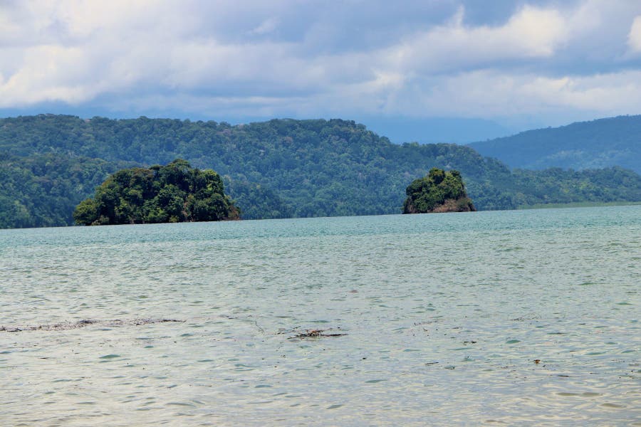 Property photo for Natural Masterpiece, Golfito, Piedras Blancas, Osa, Puntarenas, Costa Rica
