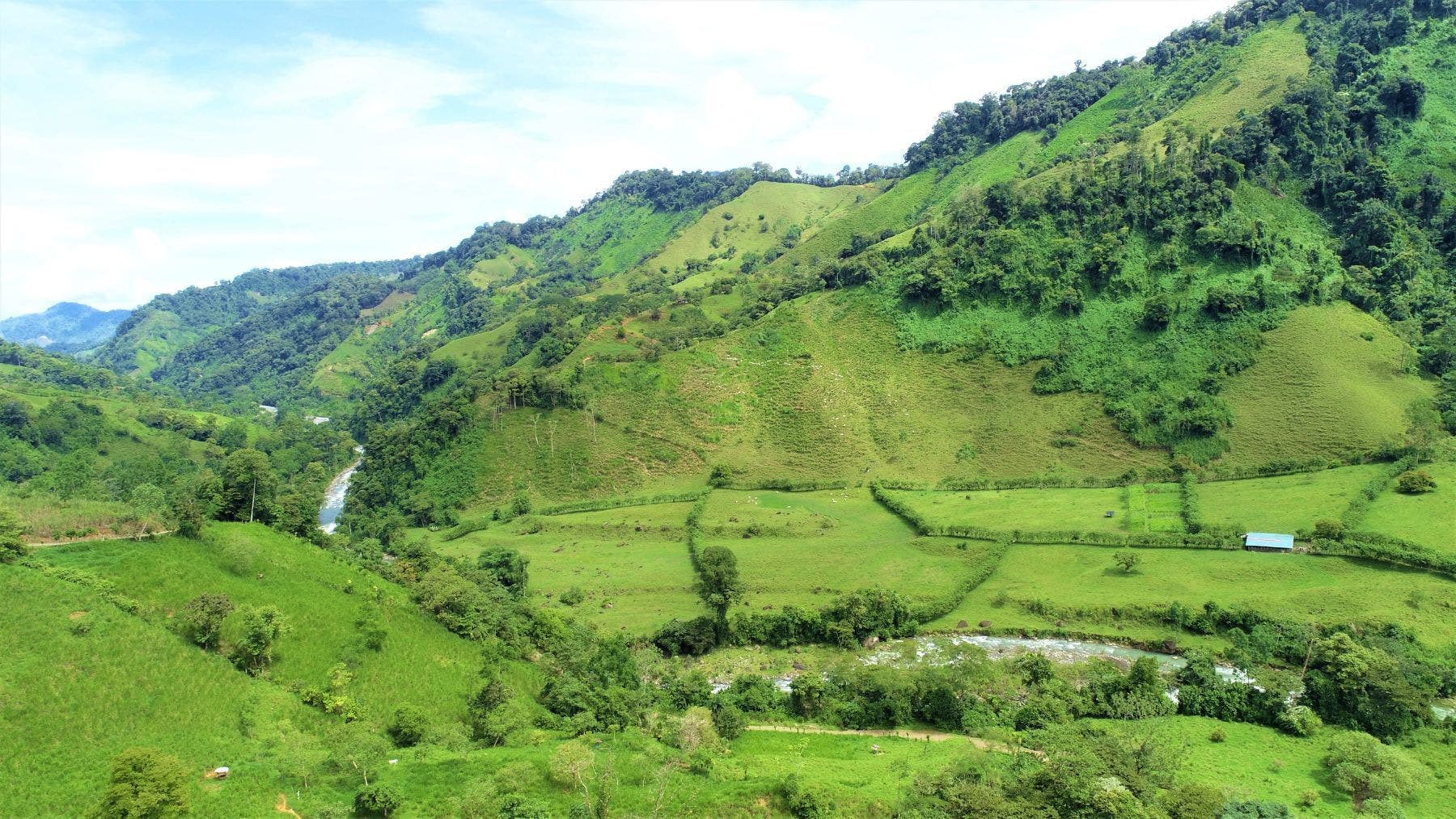 Gorgeous 204 Acres Farm, San Isidro del General, Perez Zeledon, Perez Zeledon, San Jose, San Jose, Costa Rica 11901