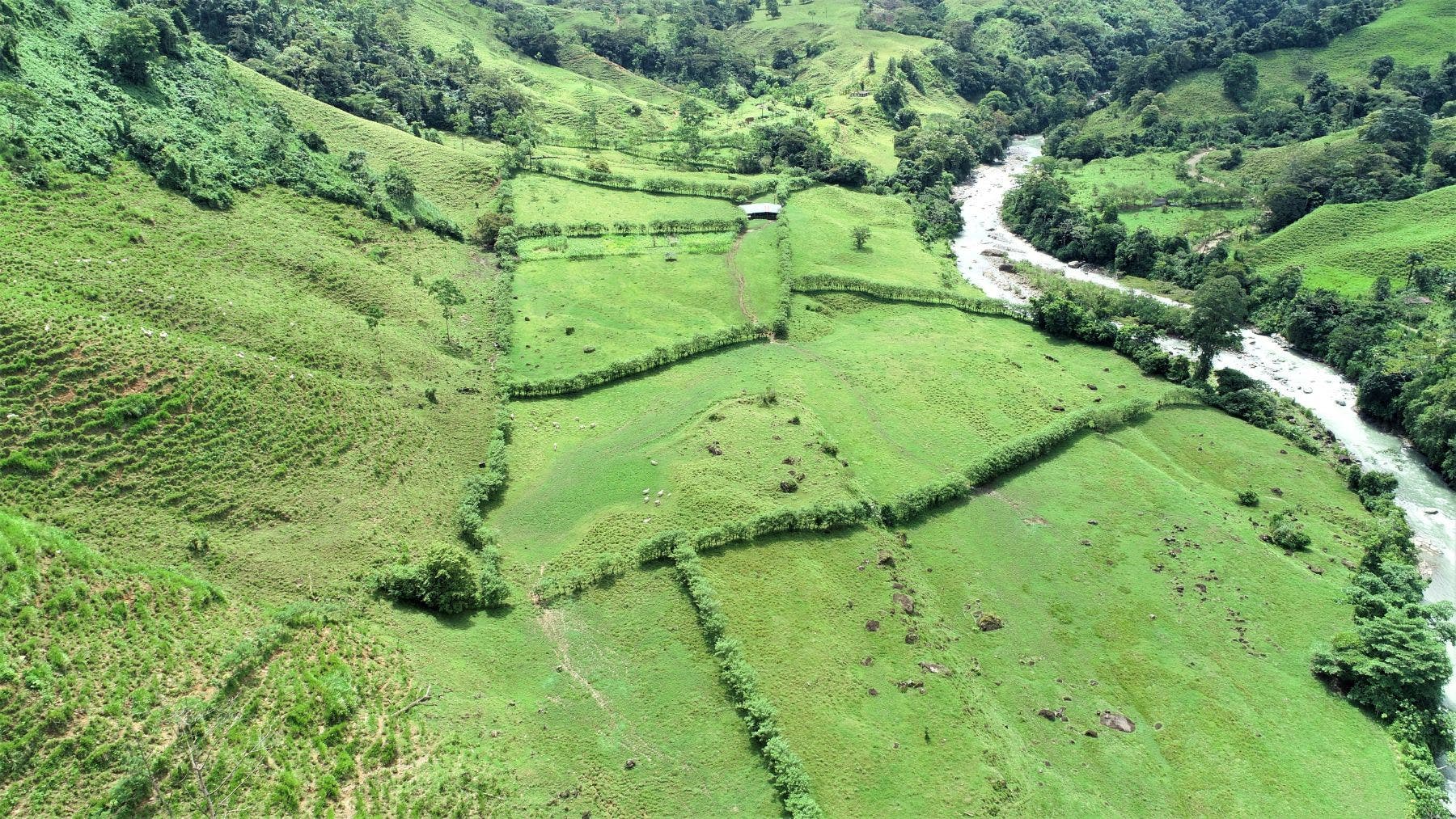 Gorgeous 204 Acres Farm — photo 13 of 19