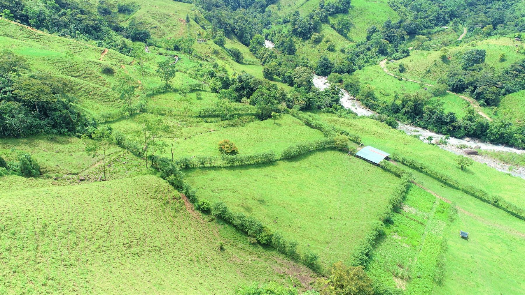 Gorgeous 204 Acres Farm — photo 15 of 19