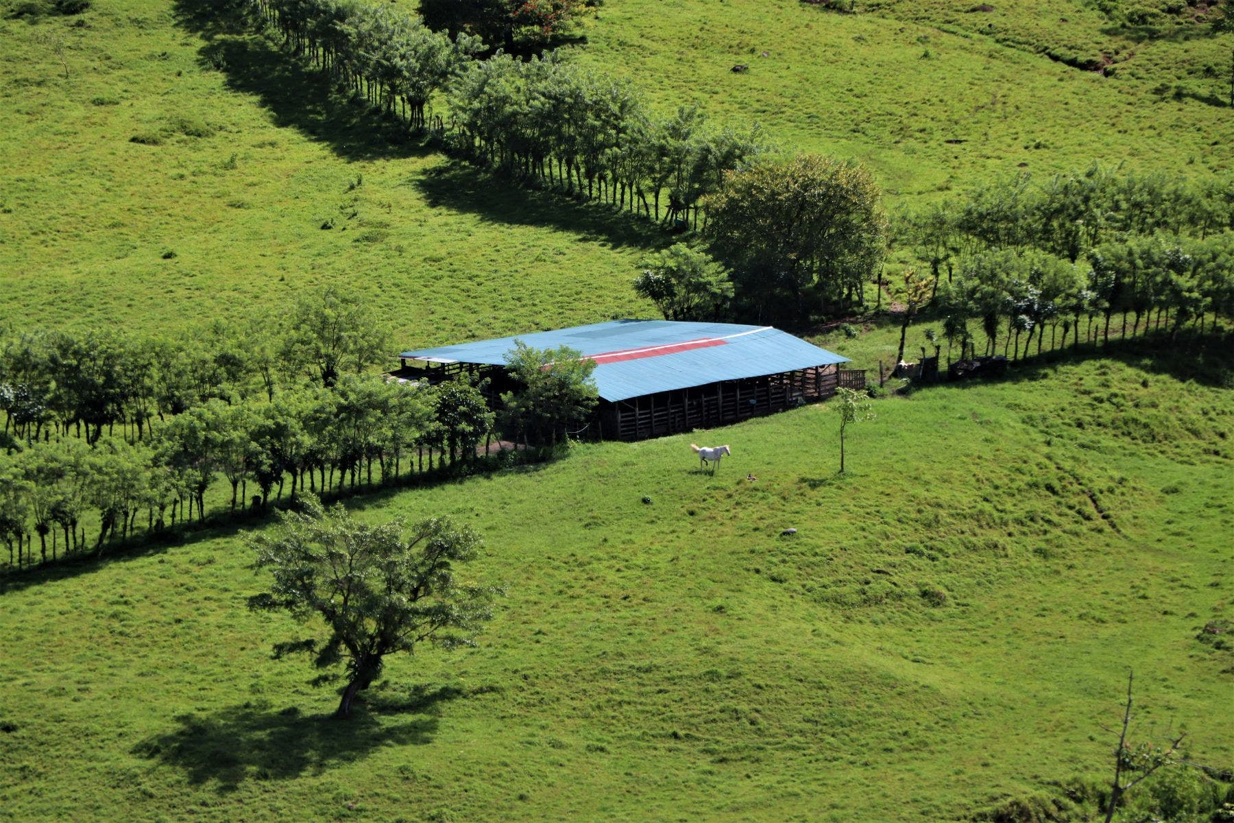Gorgeous 204 Acres Farm — photo 18 of 19
