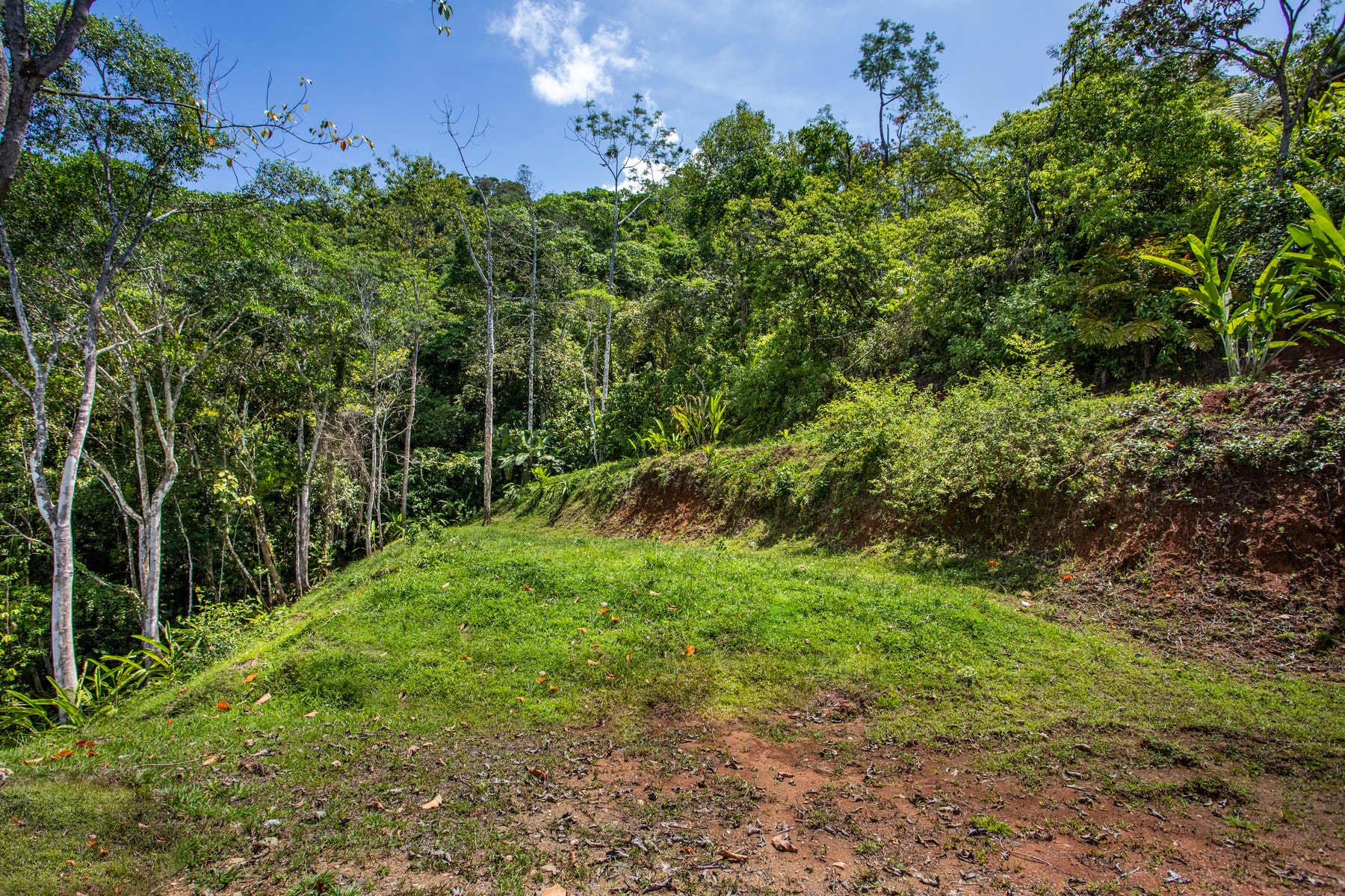 210 acre mountain top rain forest ranch Rancho Rico — photo 11 of 19