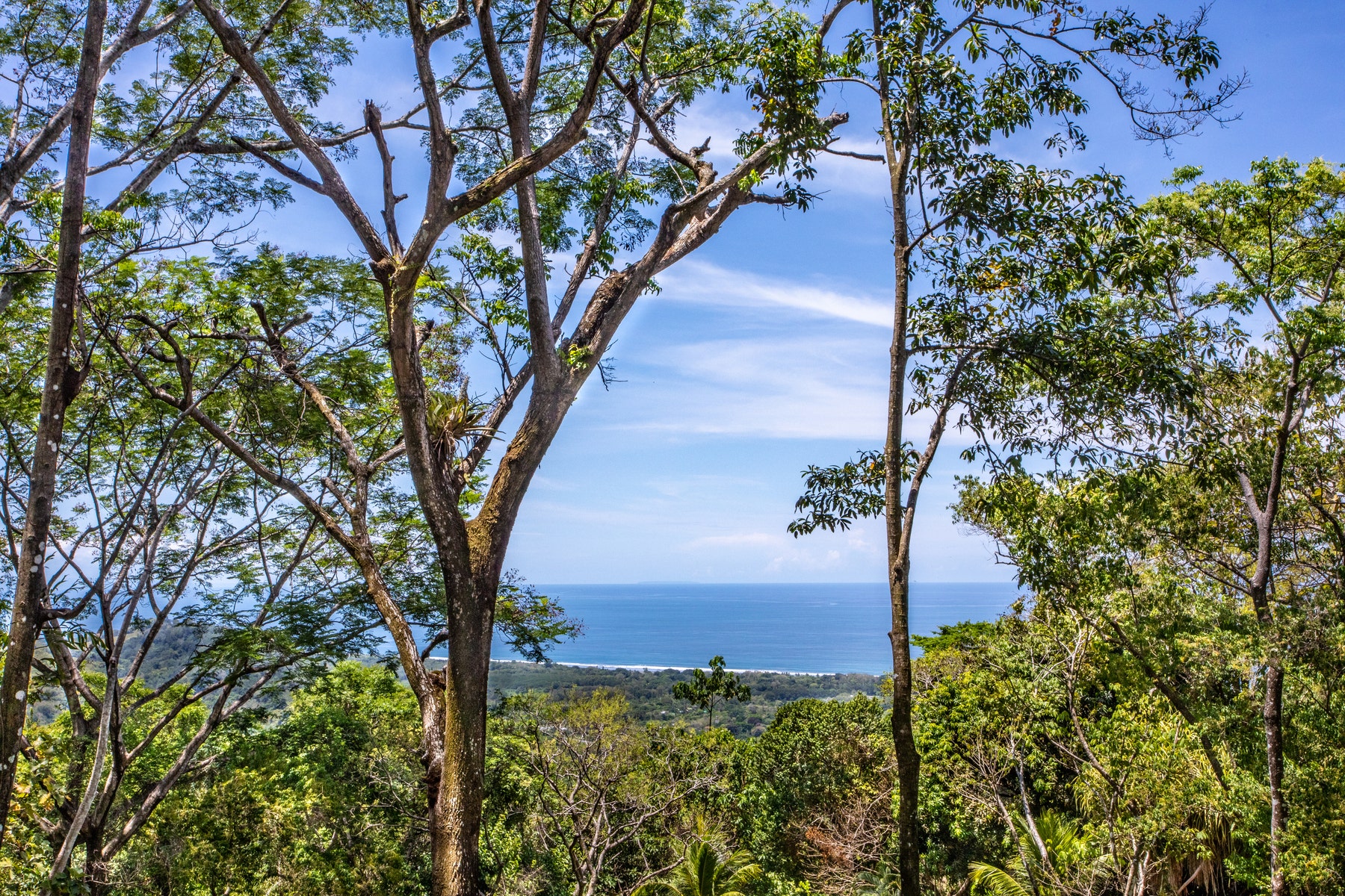 210 acre mountain top rain forest ranch Rancho Rico — photo 10 of 19