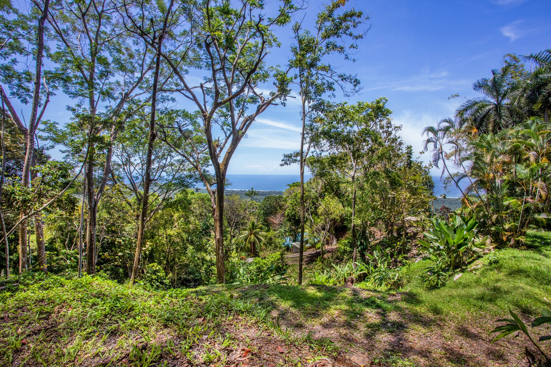 210 acre mountain top rain forest ranch Rancho Rico — photo 12 of 19