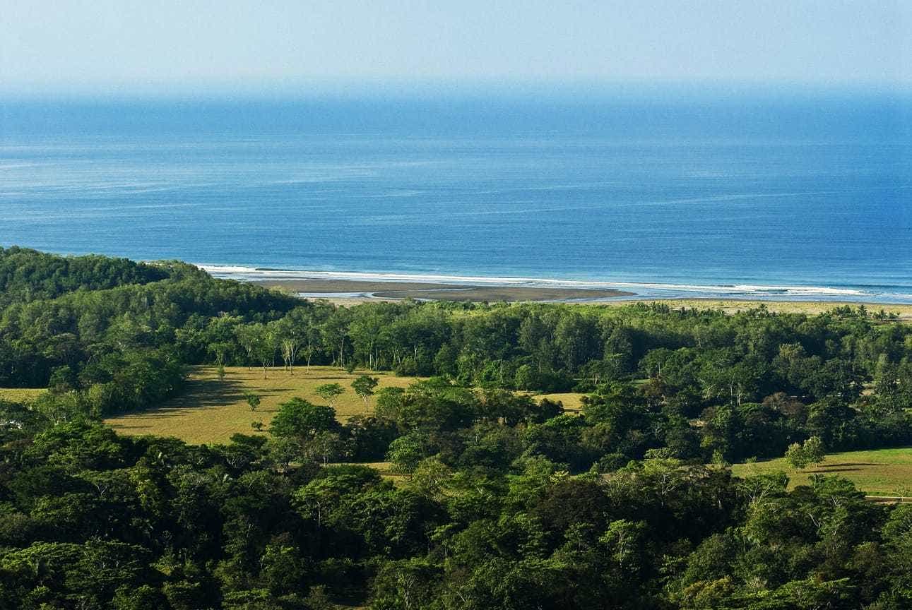 Matapalo Development Dream, Matapalo, Manuel Antonio, Savegre, Quepos, Puntarenas, Costa Rica 63500