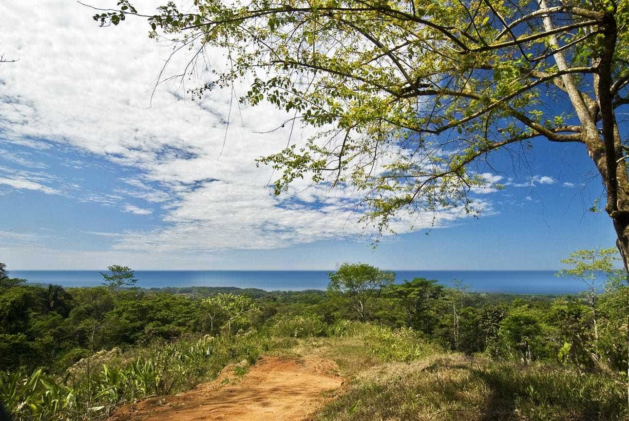 Matapalo Development Dream — photo 10 of 11