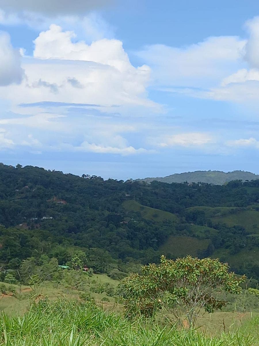 46 Hectares with Ocean Views in Platanillo — photo 6 of 19