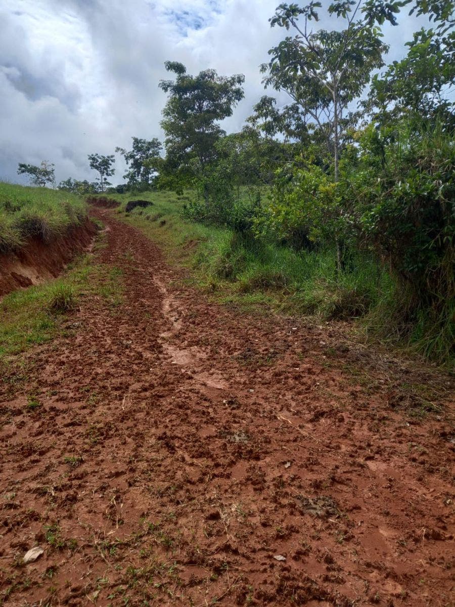 46 Hectares with Ocean Views in Platanillo — photo 8 of 19