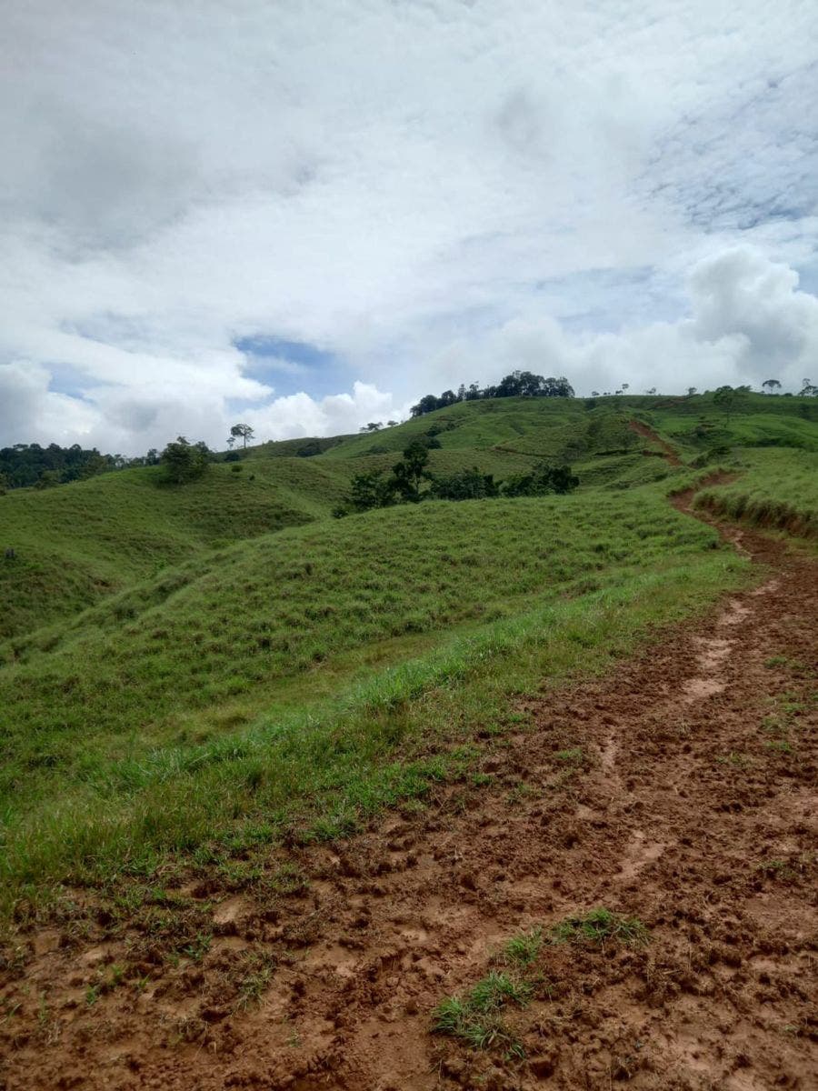 46 Hectares with Ocean Views in Platanillo — photo 9 of 19