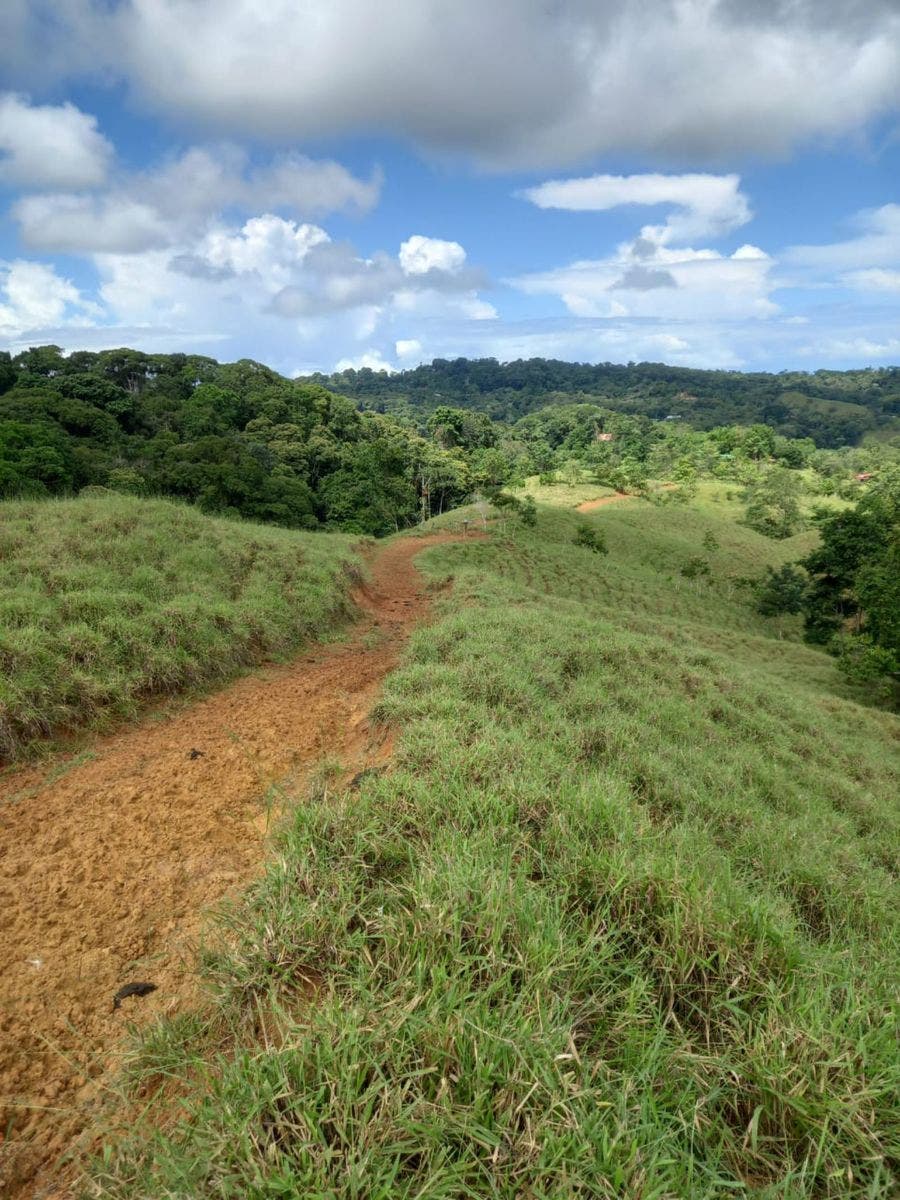 46 Hectares with Ocean Views in Platanillo — photo 10 of 19