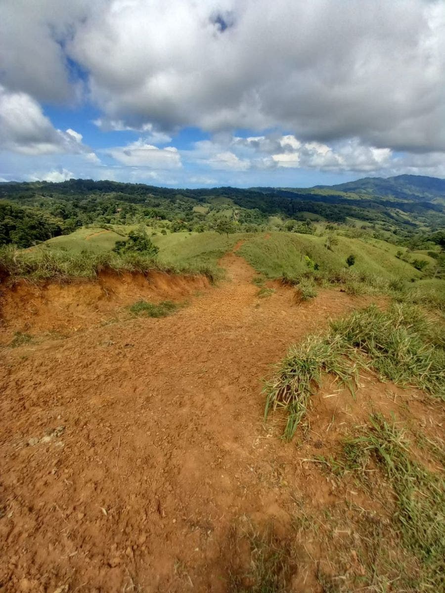 46 Hectares with Ocean Views in Platanillo — photo 12 of 19