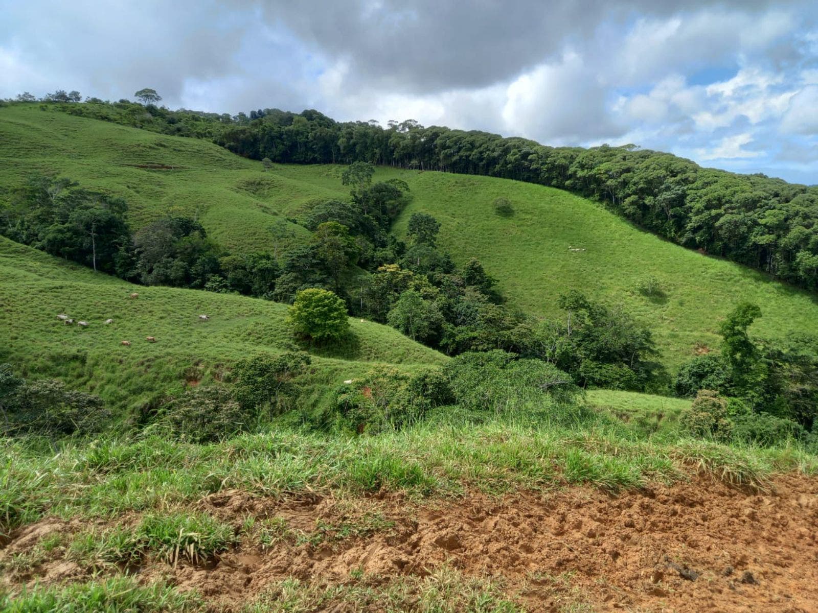46 Hectares with Ocean Views in Platanillo — photo 3 of 19