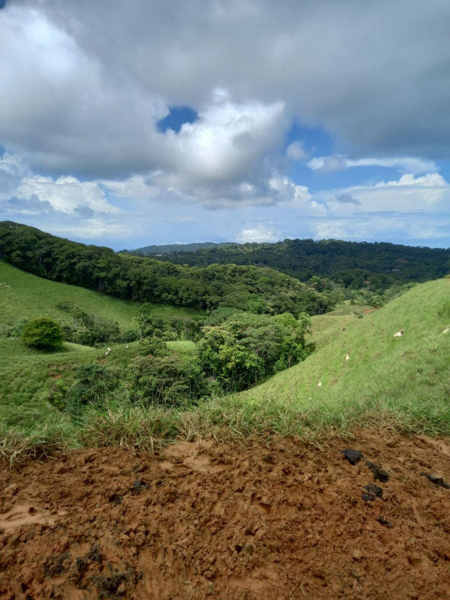 46 Hectares with Ocean Views in Platanillo — photo 15 of 19