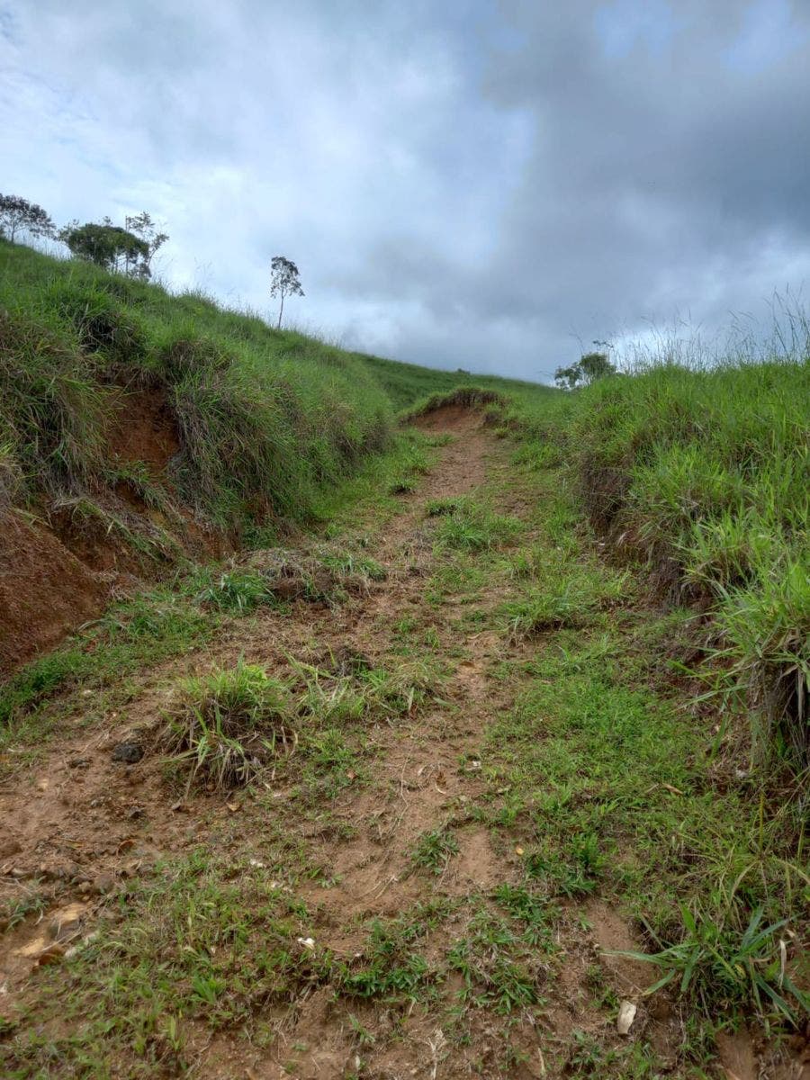 46 Hectares with Ocean Views in Platanillo — photo 16 of 19