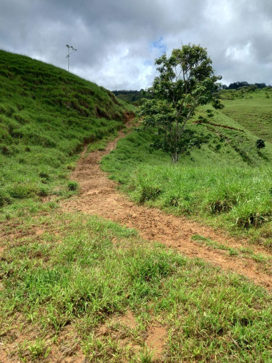 46 Hectares with Ocean Views in Platanillo — photo 17 of 19