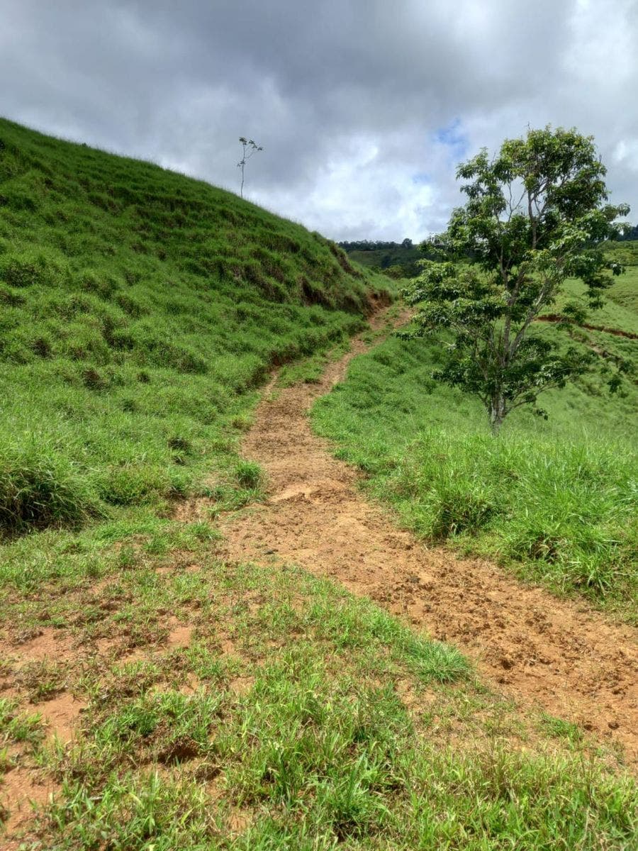 46 Hectares with Ocean Views in Platanillo — photo 18 of 19