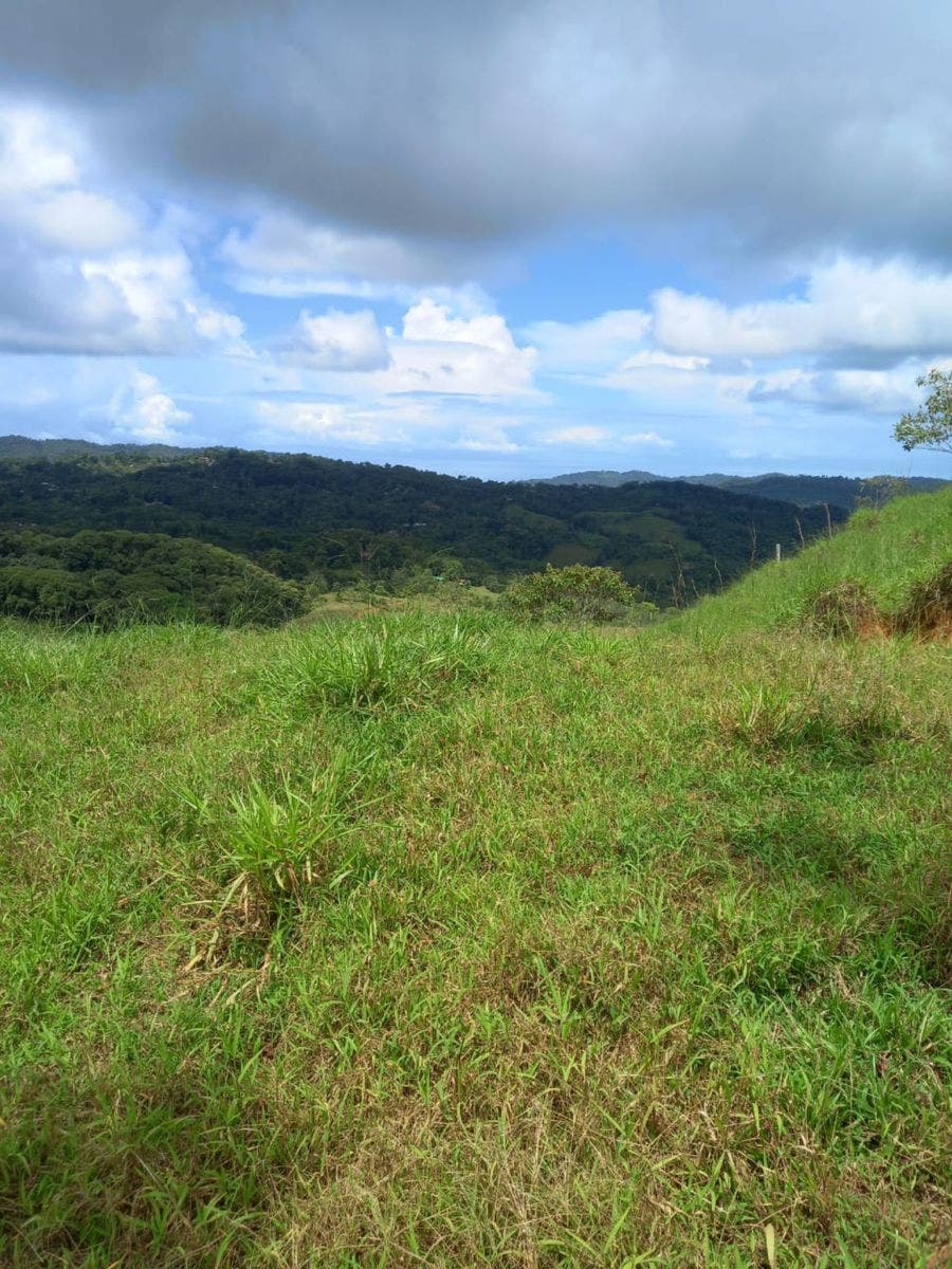46 Hectares with Ocean Views in Platanillo — photo 19 of 19