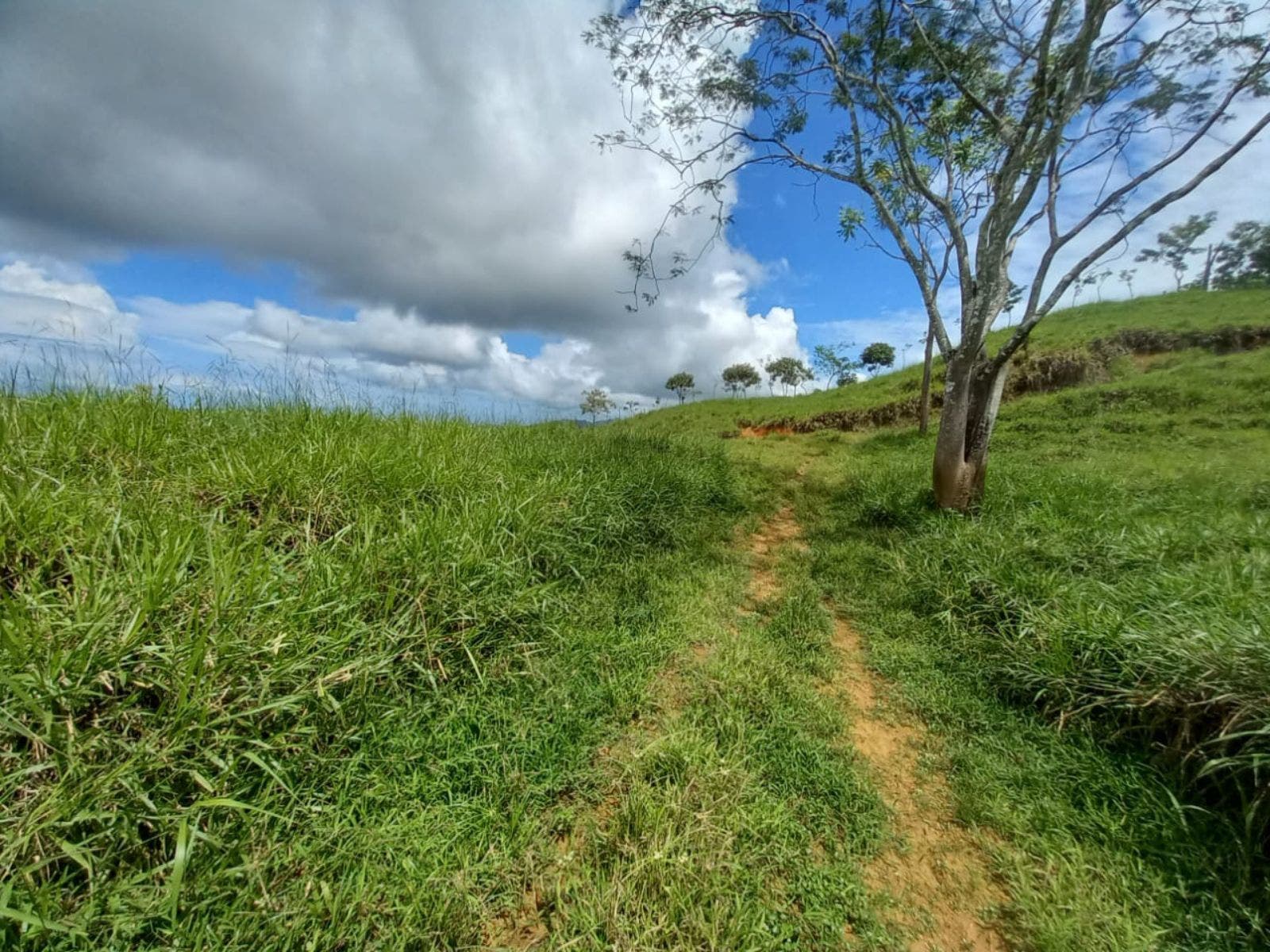 46 Hectares with Ocean Views in Platanillo — photo 2 of 19