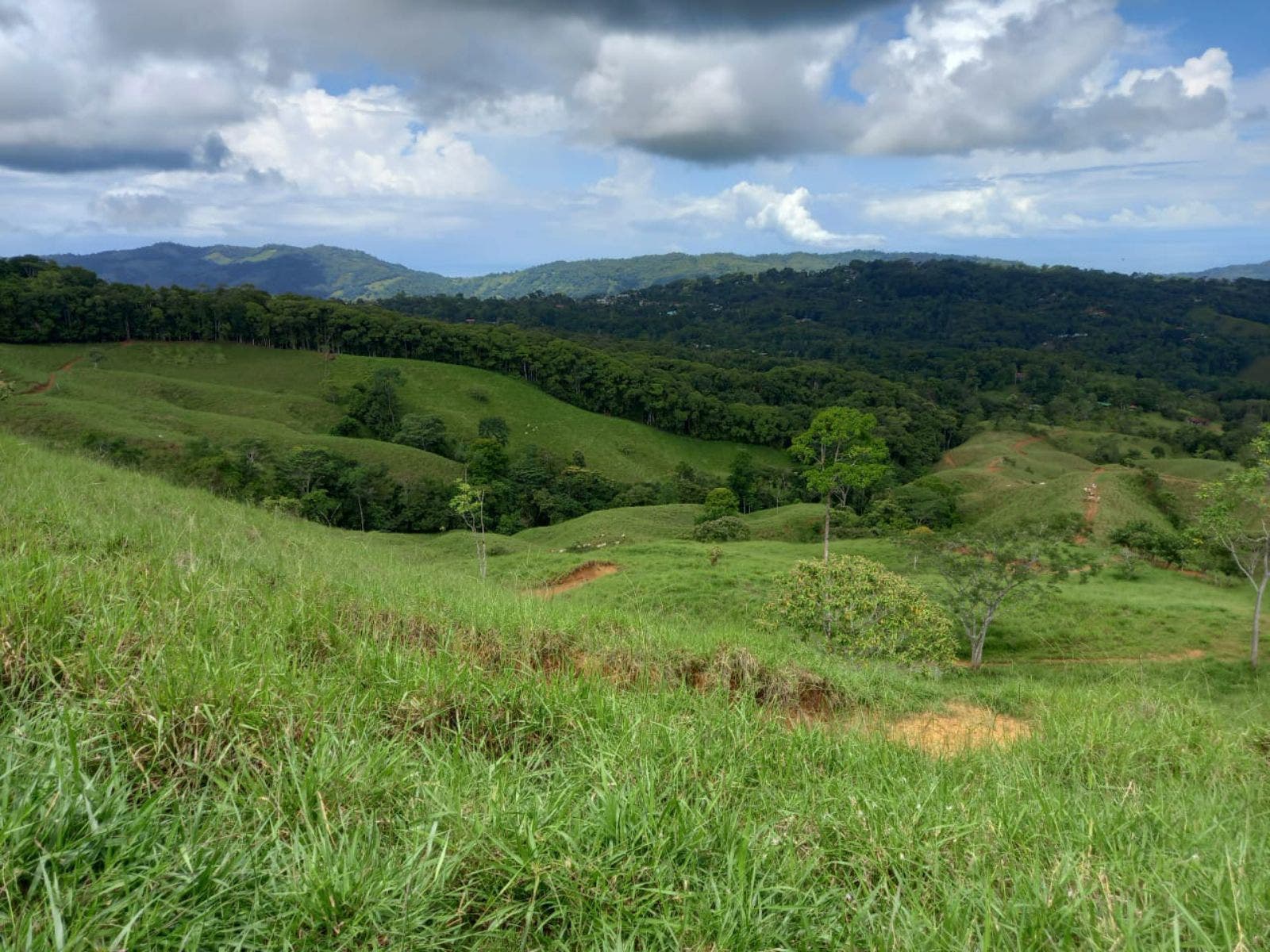 46 Hectares with Ocean Views in Platanillo — photo 4 of 19