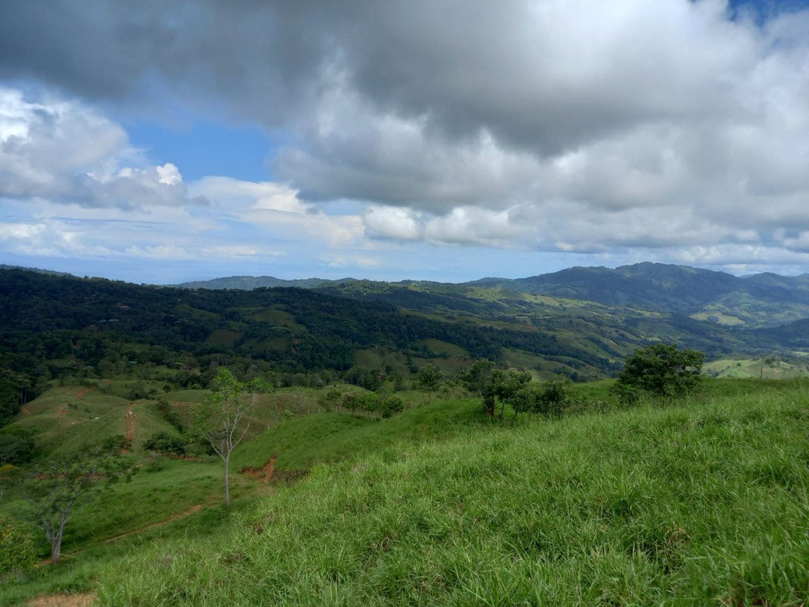 46 Hectares with Ocean Views in Platanillo — photo 5 of 19