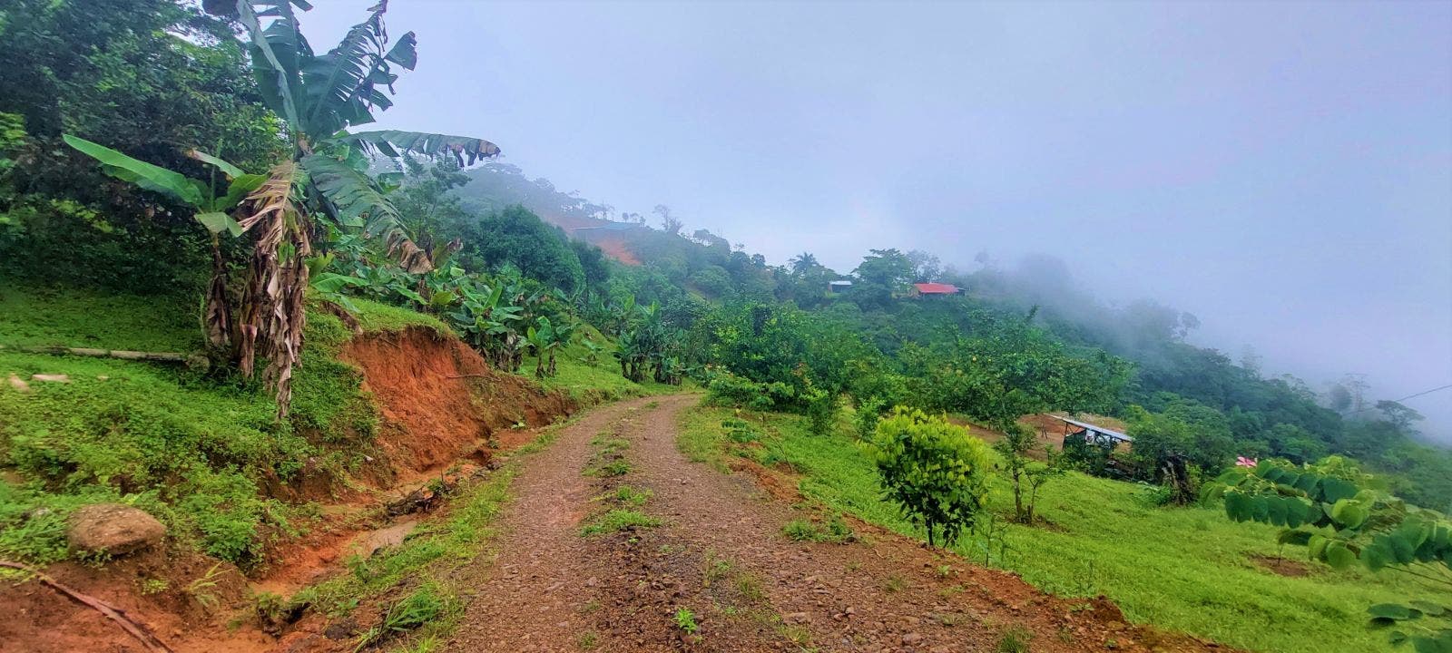 7.8 Acres of Lush Mountain Landscape and Home in Tinamastes, Tinamastes, Perez Zeledon, Perez Zeledon, San Isidro, San Jose, Costa Rica