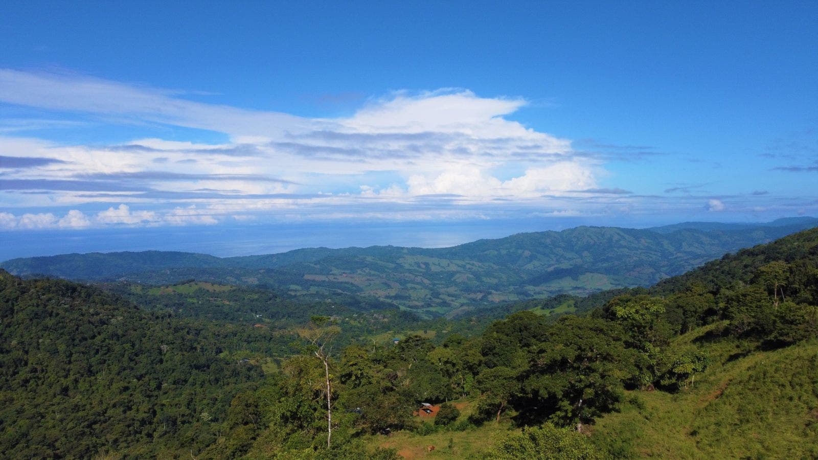 7.8 Acres of Lush Mountain Landscape and Home in Tinamastes — photo 2 of 19