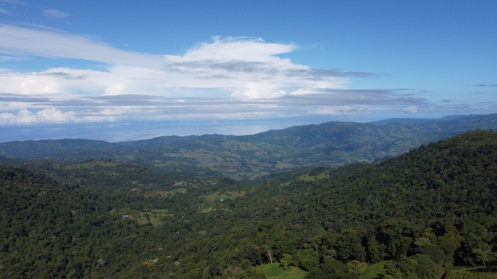 7.8 Acres of Lush Mountain Landscape and Home in Tinamastes — photo 17 of 19