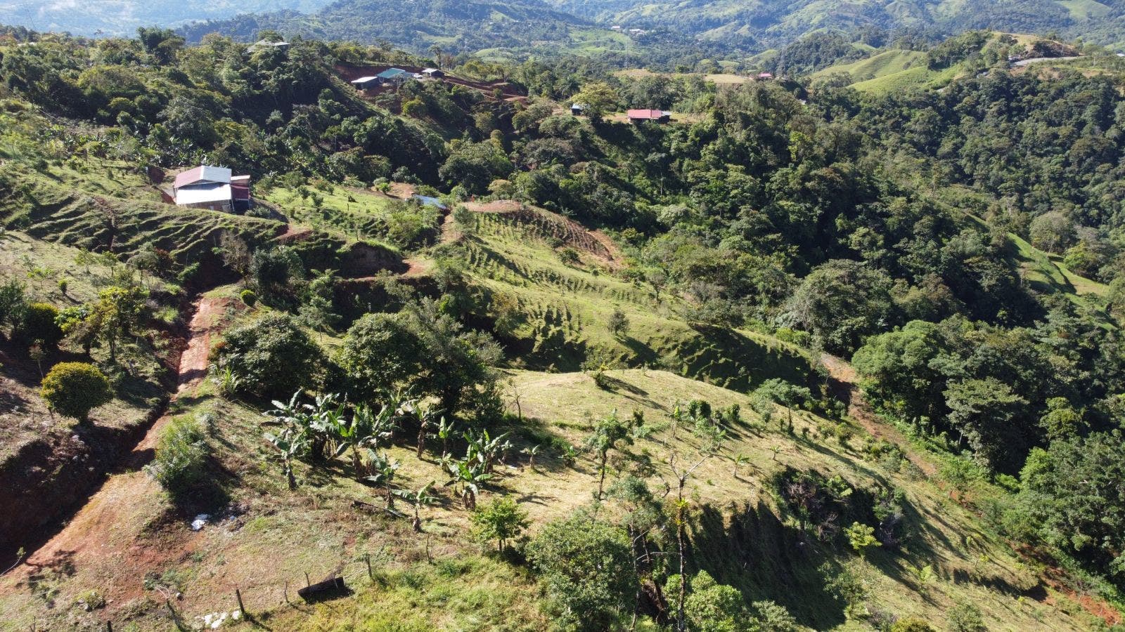 7.8 Acres of Lush Mountain Landscape and Home in Tinamastes — photo 18 of 19