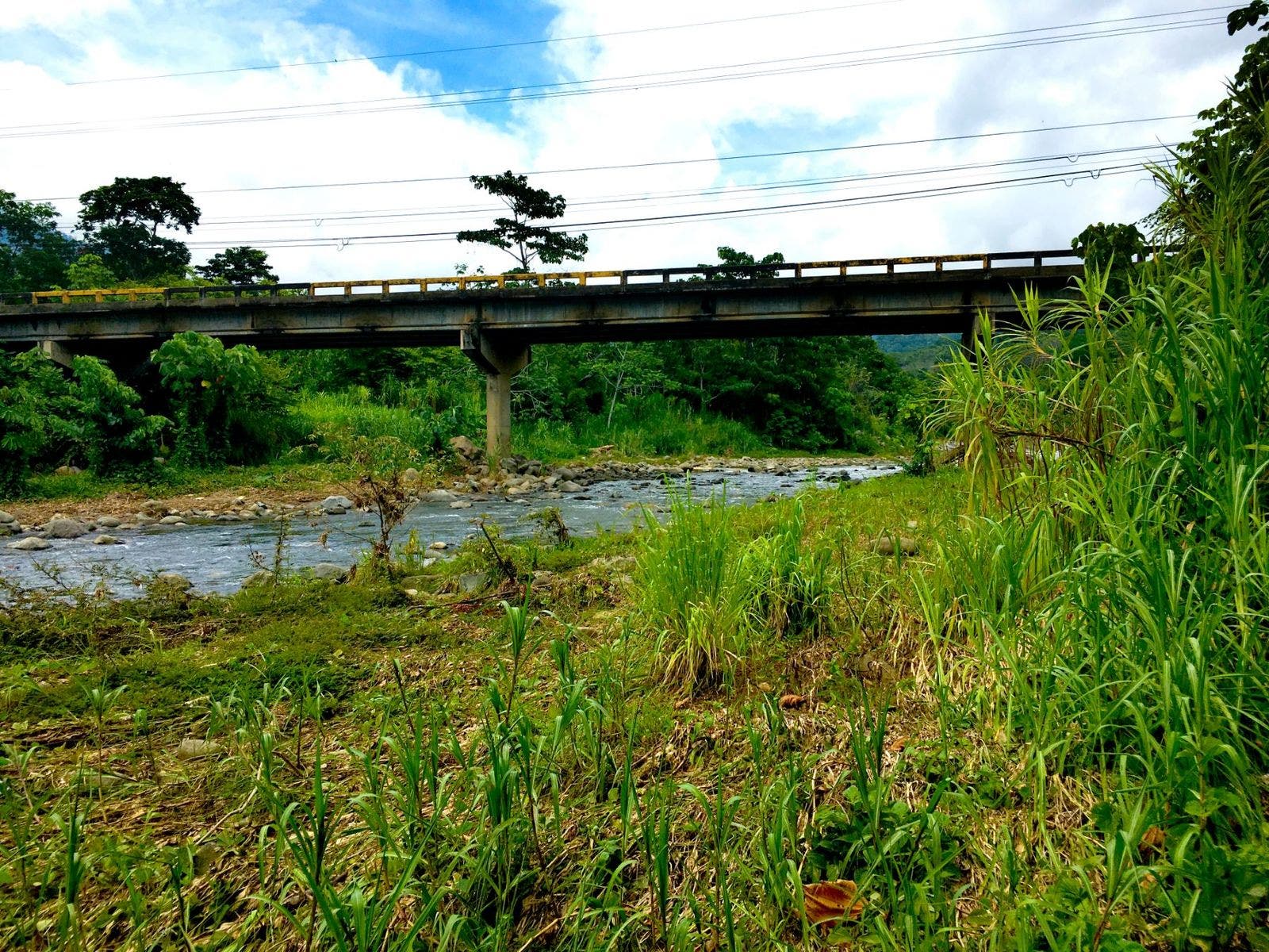 Unique Commercial Opportunity in the Center of Uvita — photo 6 of 14