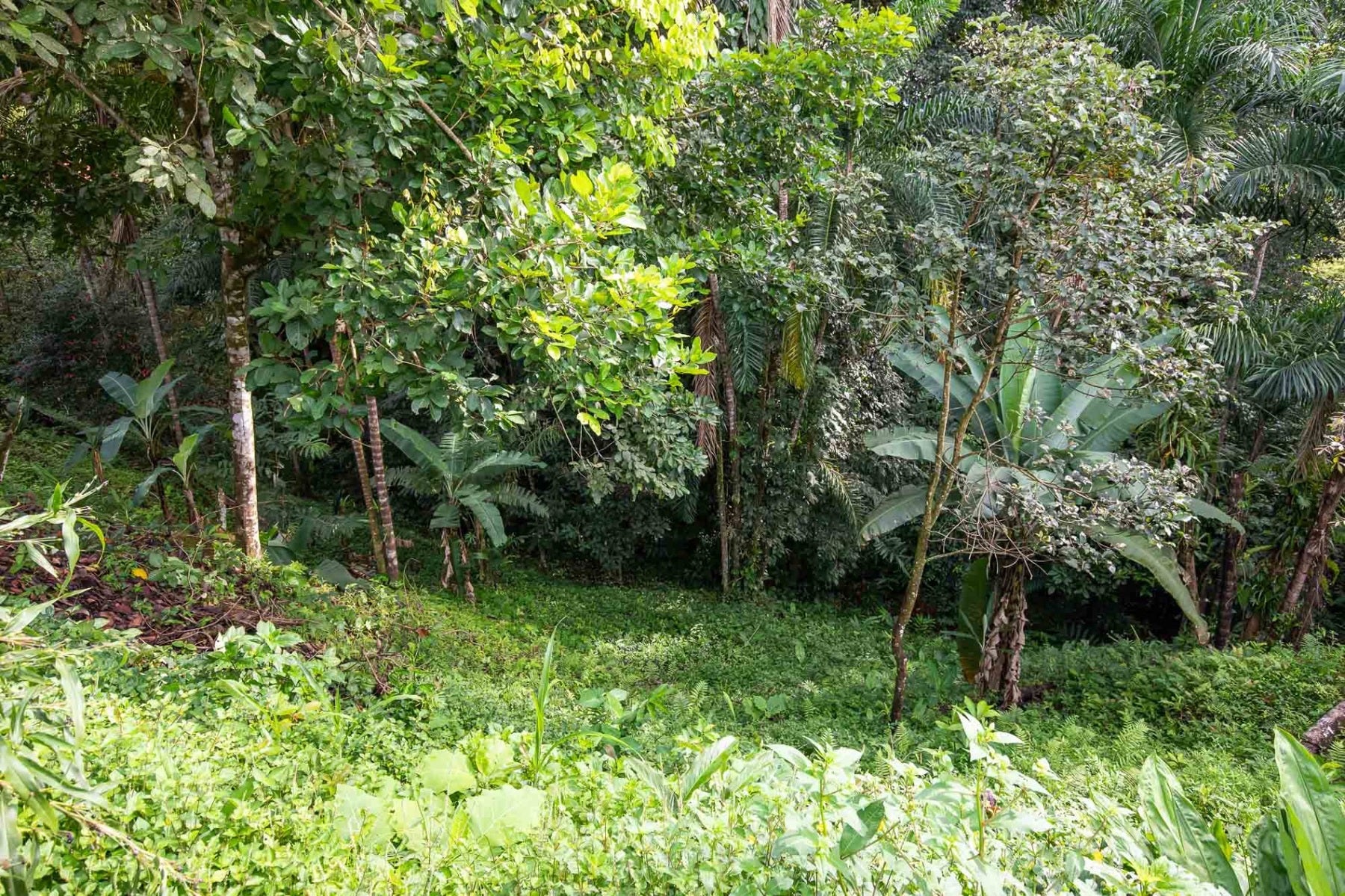 Small Affordable Home in Villa Nueva — photo 10 of 13