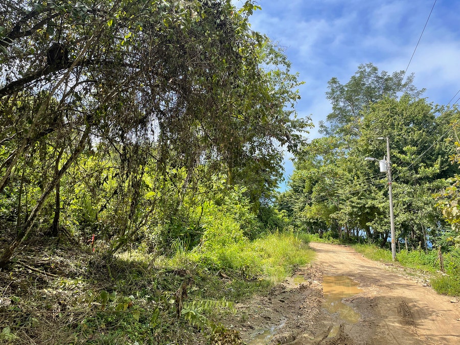 Property photo for Commercial Lot Santa Teresa , Santa Teresa, Cobano, Puntarenas, Puntarenas, Costa Rica