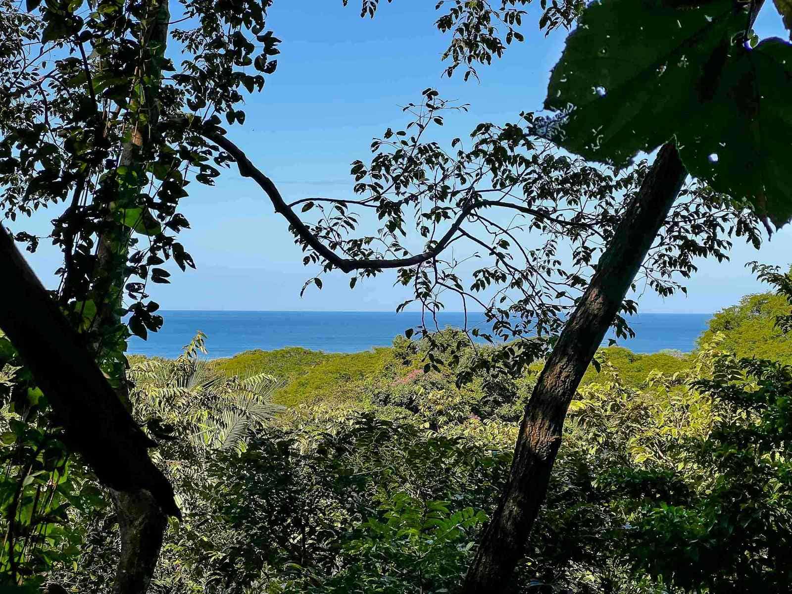 Ocean View Lot In Guiones, Nosara, Nosara, Nicoya, Guanacaste, Costa Rica 50206