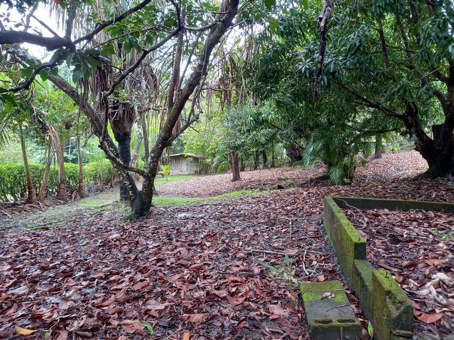 Property photo for Commercial land in Mal Pais, Mal Pais, Santa Teresa, Cobano, Puntarenas, Puntarenas, Costa Rica