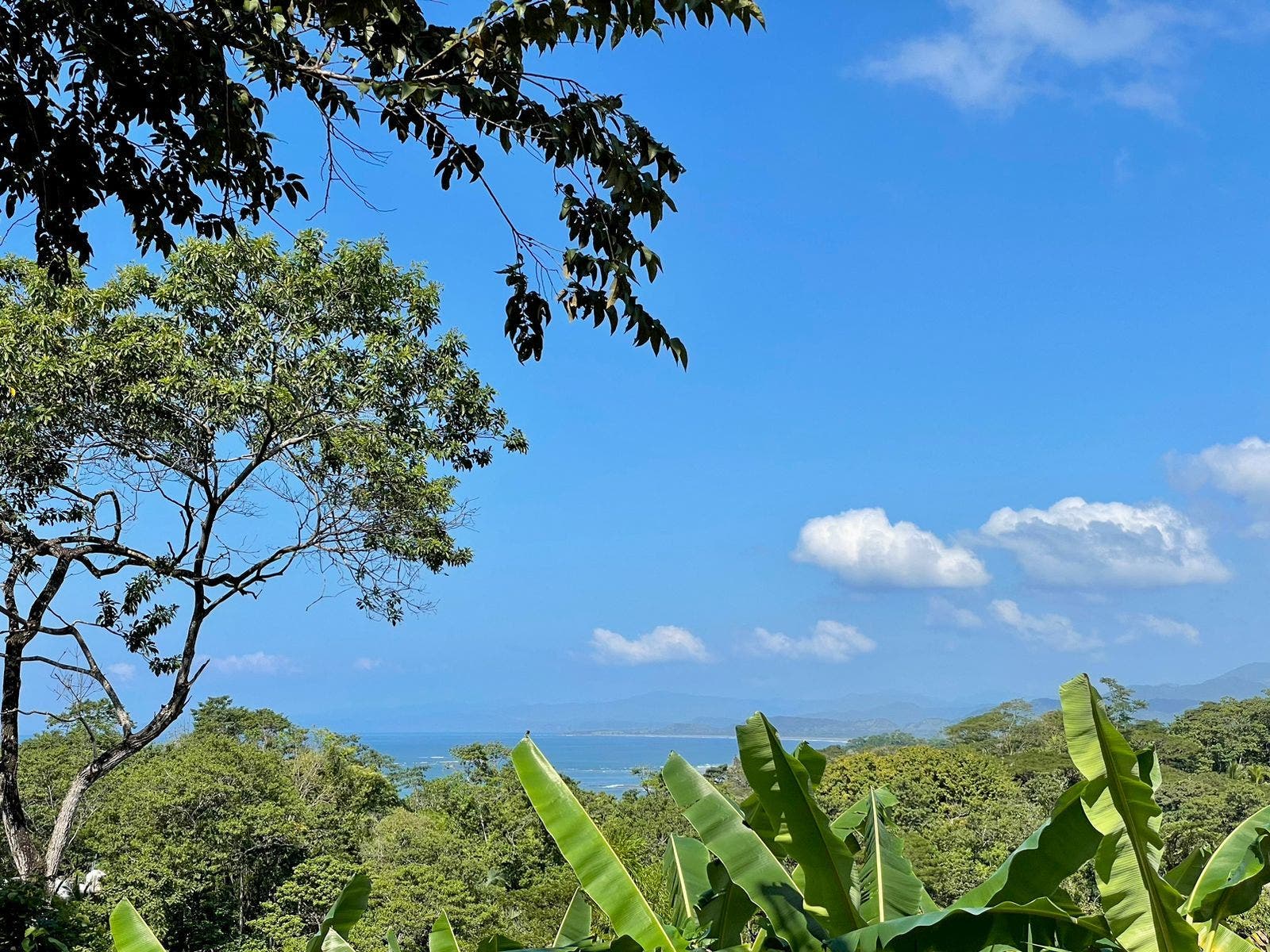 Gorgeous Manzanillo Bay Views — photo 5 of 11