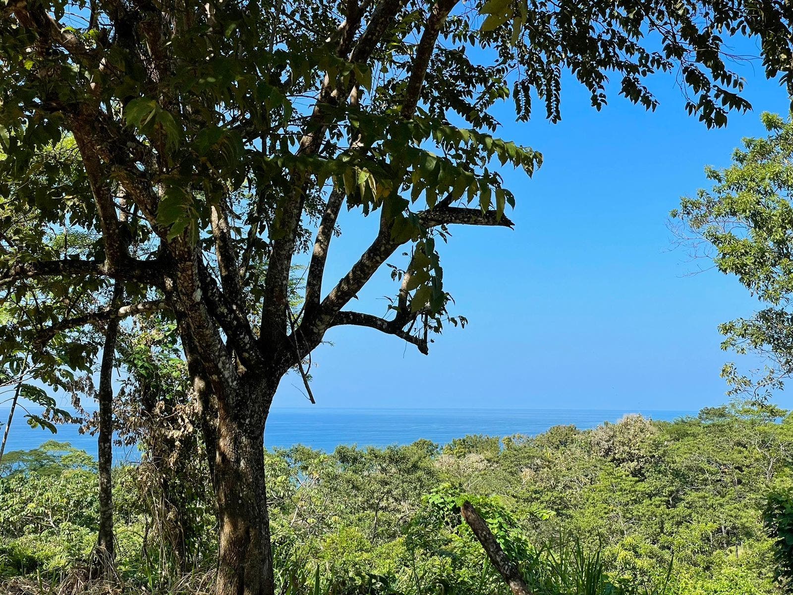 Gorgeous Manzanillo Bay Views — photo 6 of 11