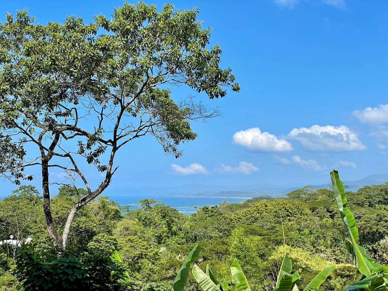 Gorgeous Manzanillo Bay Views — photo 2 of 11
