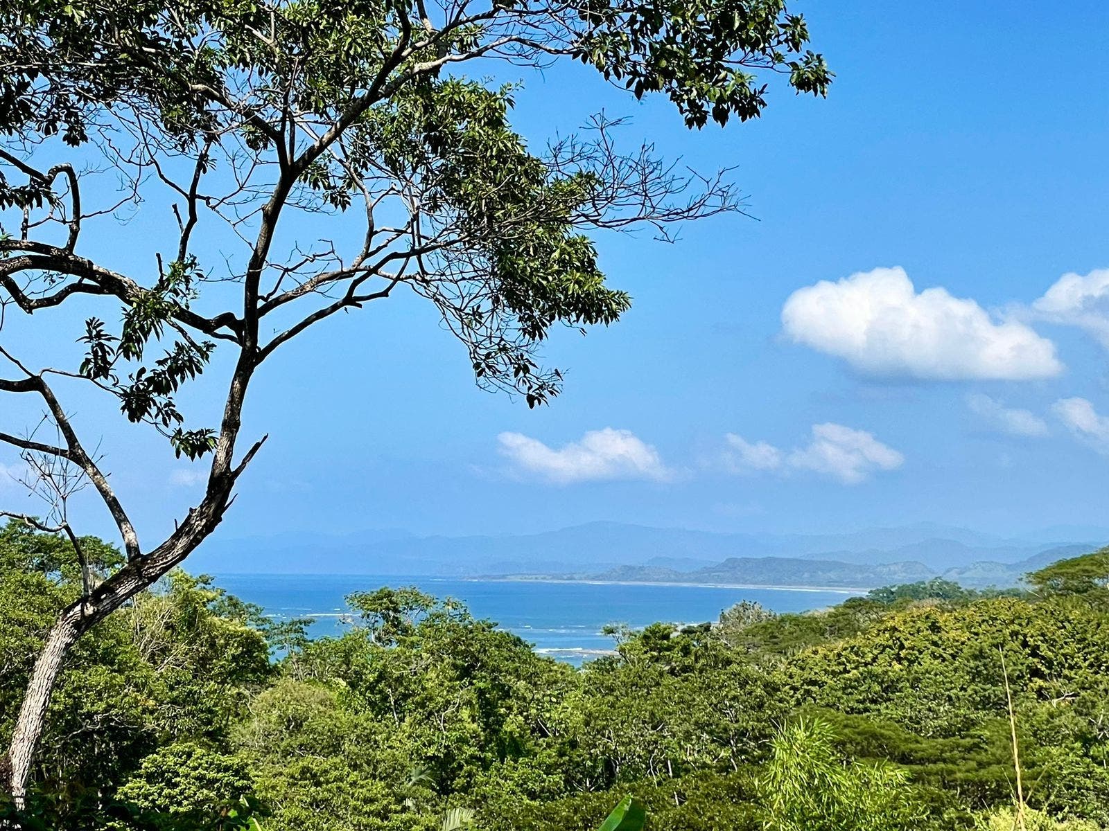 Gorgeous Manzanillo Bay Views — photo 7 of 11
