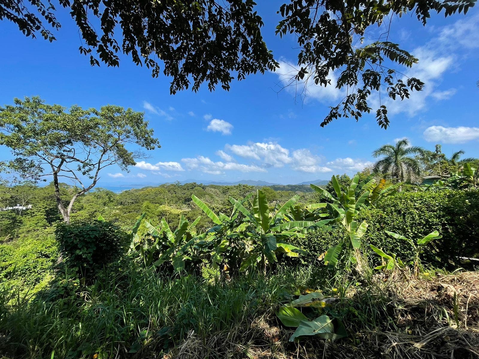 Gorgeous Manzanillo Bay Views — photo 10 of 11