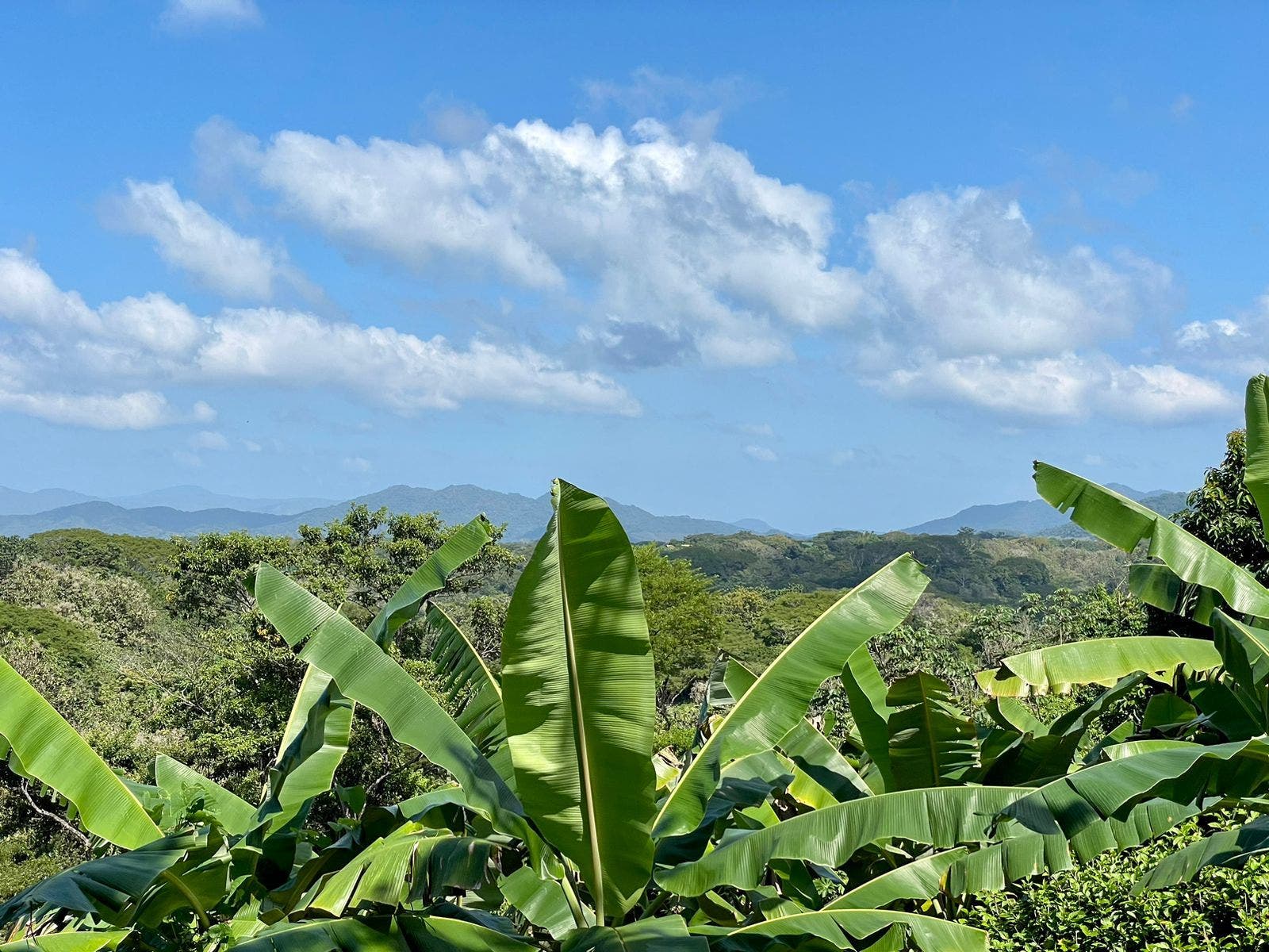 Gorgeous Manzanillo Bay Views — photo 4 of 11