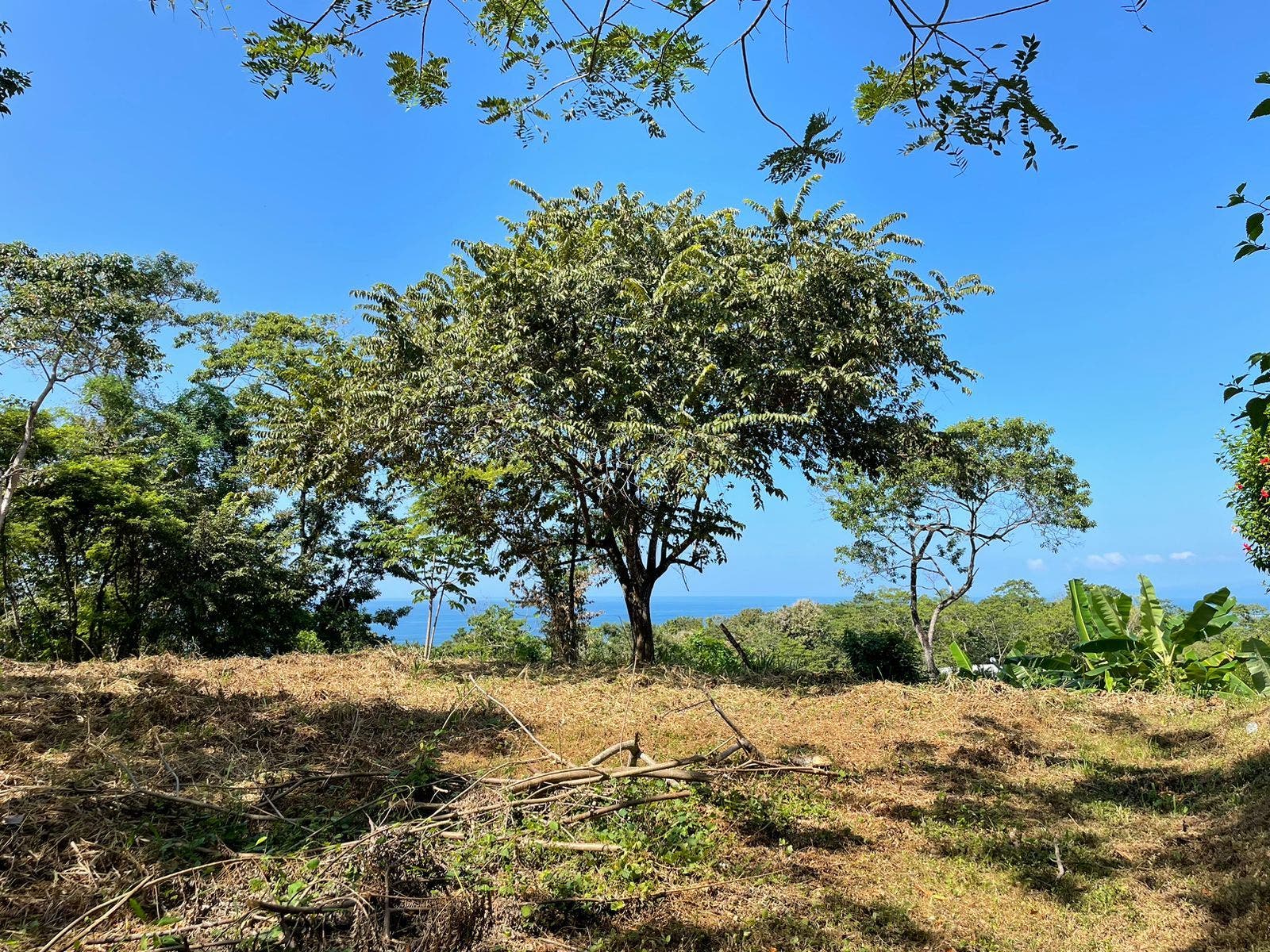Gorgeous Manzanillo Bay Views — photo 11 of 11