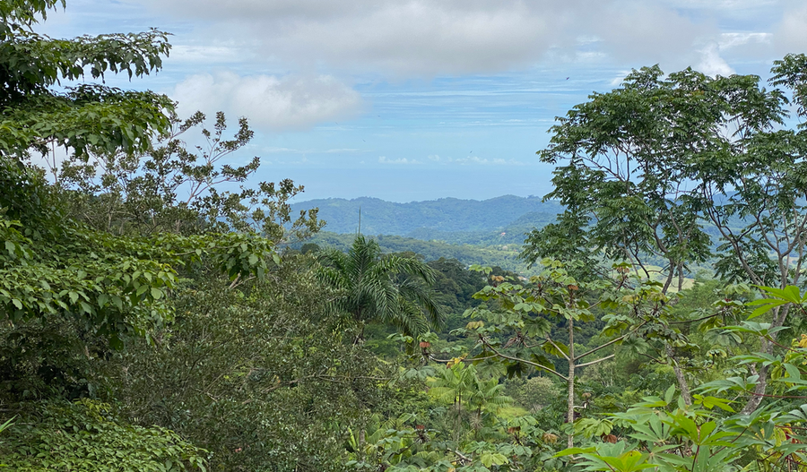 Property photo for Tinamastes Tipico House with Great Potential, Tinamastes, Perez Zeledon, Tinamastes, Perez Zeledon, San Jose, Costa Rica