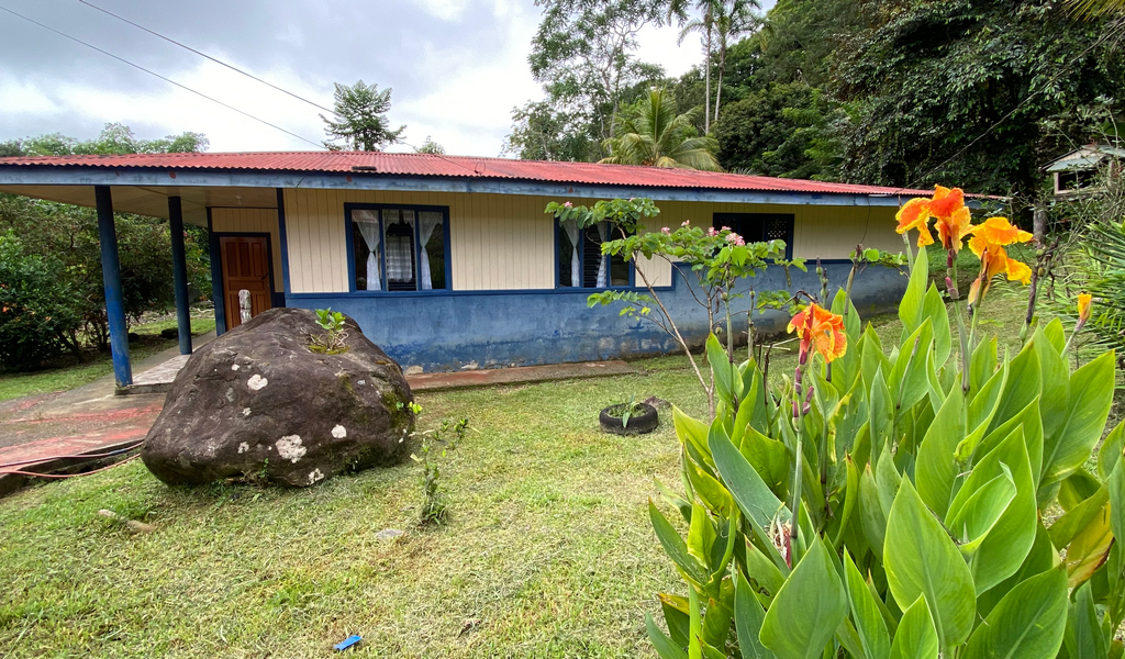 Tinamastes Tipico House with Great Potential — photo 2 of 13