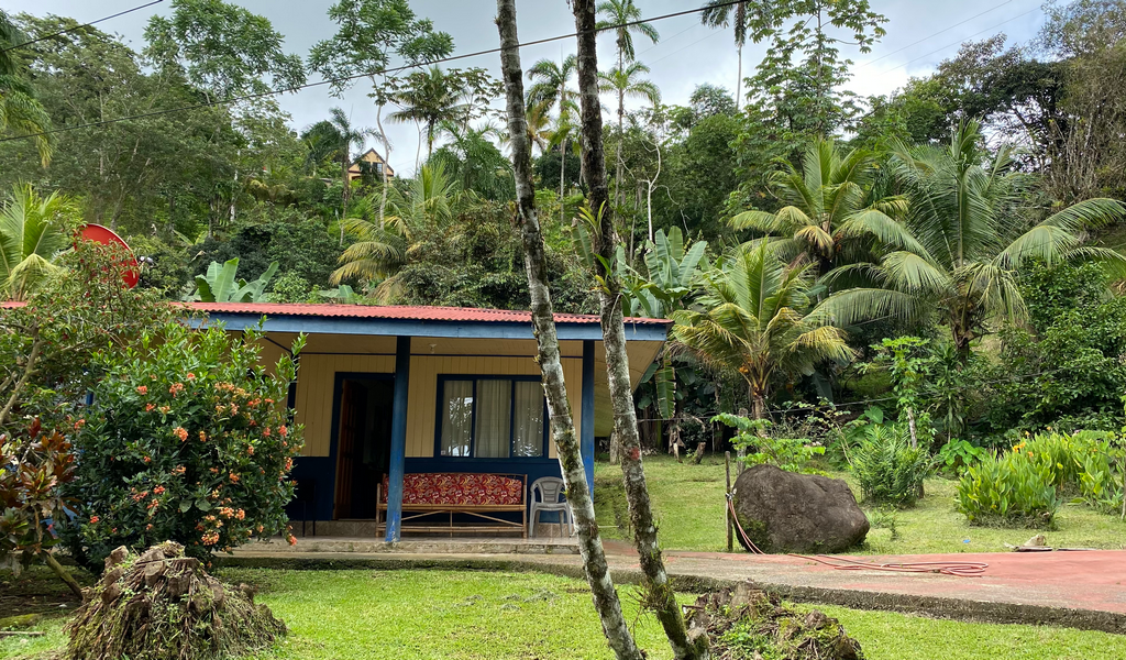 Tinamastes Tipico House with Great Potential — photo 5 of 13